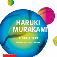 Haruki Murakami & Ursula Gräfe - Pinball 1973 artwork