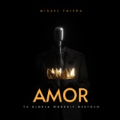 Amor artwork