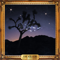 The Killers - Don't Waste Your Wishes artwork