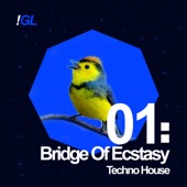 Bridge of Ecstasy - EP artwork