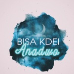 Bisa Kdei - Anadwo