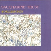 Saccharine Trust - Fred Presented Himself to Joseph