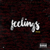 Feelings artwork