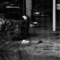 Apoplectic - Errortonin lyrics