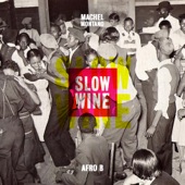 Machel Montano - Slow Wine (feat. Afro B)