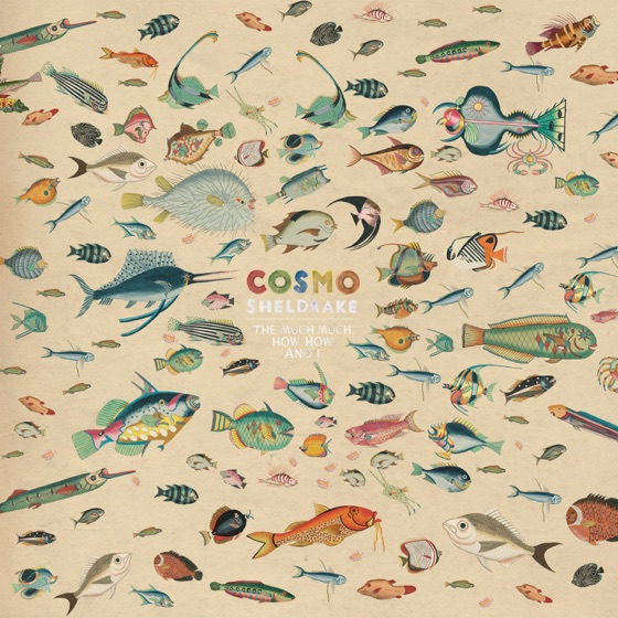 Cover artwork for Come Along (Instrumental)