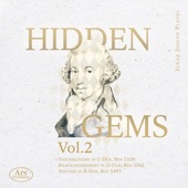 Pleyel: Hidden Gems, Vol. 2 artwork