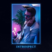 Introspect artwork