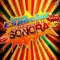 Sombrita De Cocales - Sonora Espacial lyrics