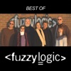 Best of Fuzzy Logic