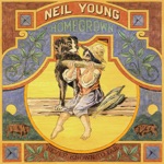 Neil Young - Star of Bethlehem