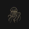 Jellyfish by Slowly Slowly iTunes Track 1