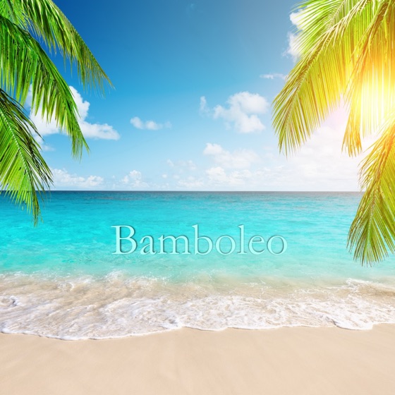 Cover artwork for Bamboleo