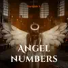 Angel Numbers - Single album lyrics, reviews, download