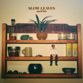 Slow Leaves - Sentimental Teardrops