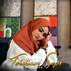 Terdiam Sepi - Single