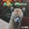 Baby Alpaca - Rocketboy Nift lyrics