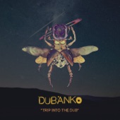 Trip into the Dub - EP artwork