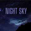 Night Sky (feat. Anton Powers, Ralph & Mahalo) - Single album lyrics, reviews, download