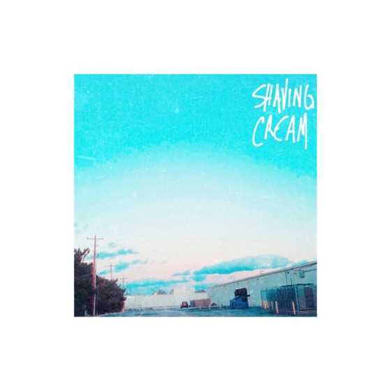 Cover artwork for Lungs