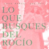Lo Que Busques del Rocío artwork