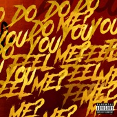 Do You Feel Me? artwork