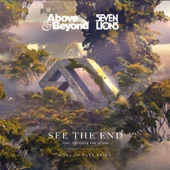 See the End (Nora En Pure Remix) - EP artwork