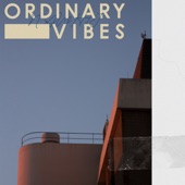 Ordinary Vibes artwork