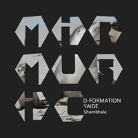 YAIDE & D-Formation - Shambhala artwork