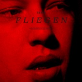 Fliegen (feat. Almila Bagriacik) artwork