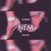 Nem (feat. AKC Misi) artwork