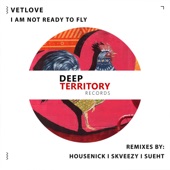 I Am Not Ready to Fly (Skveezy Remix) artwork