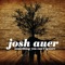 Lost What You Had - Josh Auer lyrics