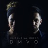 Dиvo (feat. Orest) - Single