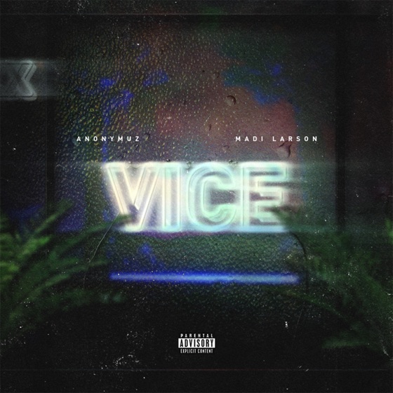 Cover artwork for Vice