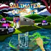 Saltwater Cowboys album lyrics, reviews, download
