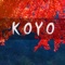 Koyo - Raÿn lyrics