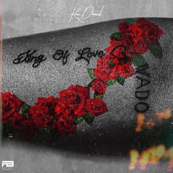 Cover artwork for Hook