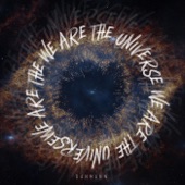 We Are the Universe artwork