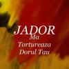 Ma Tortureaza Dorul Tau - Single