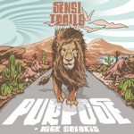 Sensi Trails & Nick Sefakis - Purpose