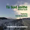 Ta Siad Imithe (They Have Gone) (feat. Bríd Ní Neachtain) - Single album lyrics, reviews, download