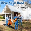 Blue Skyz Band - Just a Closer Walk with Thee