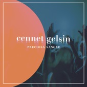 Cennet Gelsin (feat. Büyük Lütuf) artwork