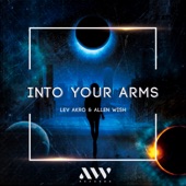 Into Your Arms (Radio Edit) artwork