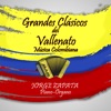 Grandes Clásicos del Vallenato Música Colombiana (Intrumental)