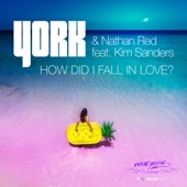 How Did I Fall in Love (feat. Kim Sanders) artwork