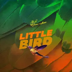 Little Bird - Single by KEY-B & Jinmi Abduls album reviews, ratings, credits