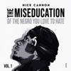 The Miseducation of the Negro You Love to Hate