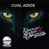 Cual Adiós artwork